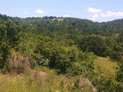 Mali Izvor | 4zida.rs