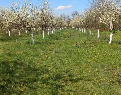 Poljoprivredno zemljište | 4zida