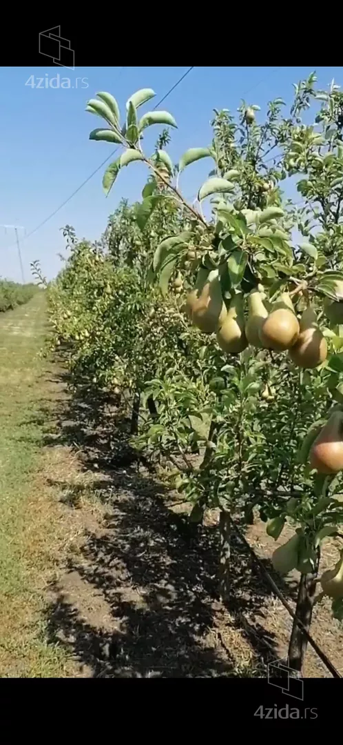 Poljoprivredno zemljište | 4zida