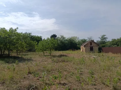Zorka | 4zida.rs