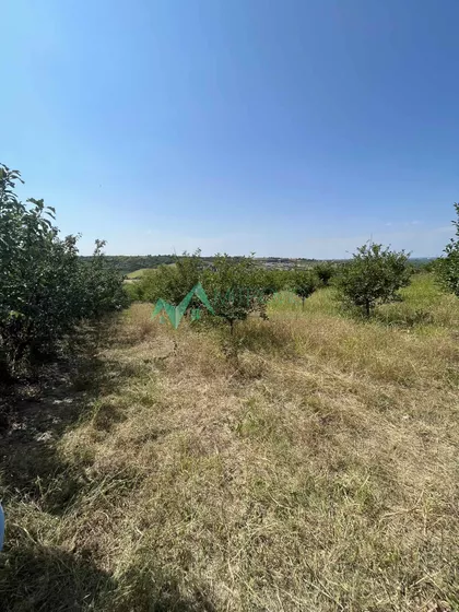 Zanoš | 4zida.rs