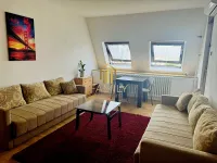Nova Detelinara, Detelinara, Gradske lokacije, Novi Sad | 4zida.rs