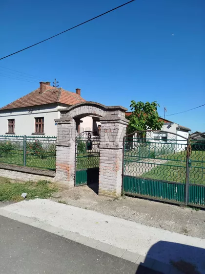 Patrijarha Dimitrija | 4zida.rs