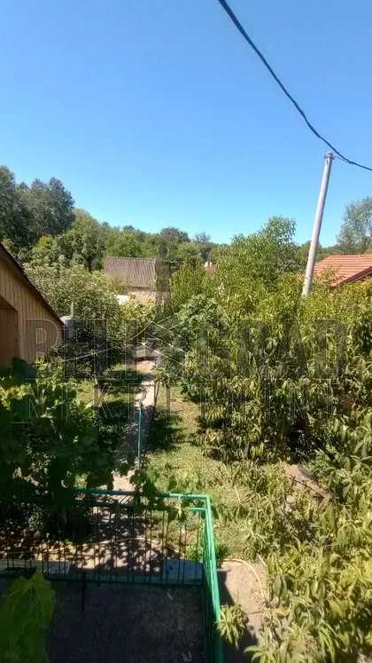 Pavla Vuisića | 4zida.rs