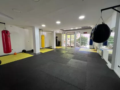 Novi Sad - Centar | 4zida.rs