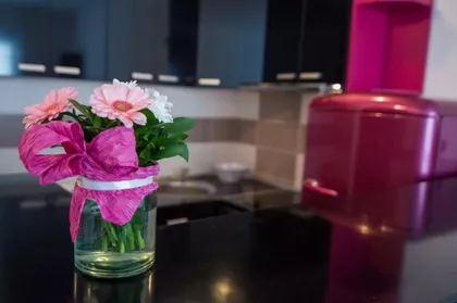 Rotkvarija | 4zida.rs