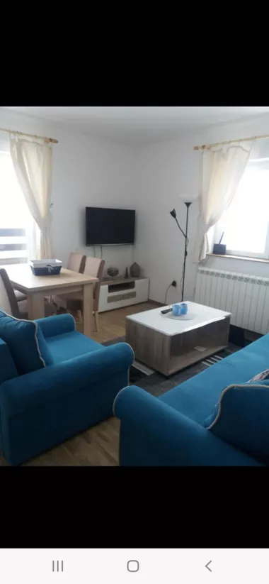 Danila Bate Stojkovića