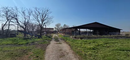 Verušić | 4zida.rs