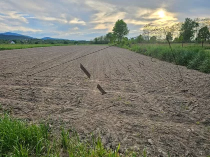 Ratina | 4zida.rs