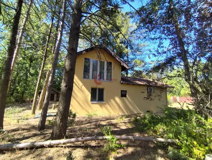 Kelebija | 4zida.rs