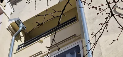 Jug Bogdana 4 | 4zida.rs