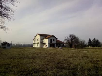 Tiganjica | 4zida.rs