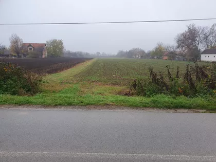 Trstenička | 4zida.rs