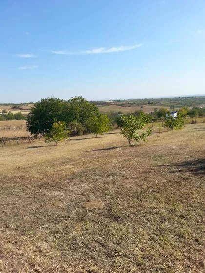 Svetosavska | 4zida.rs