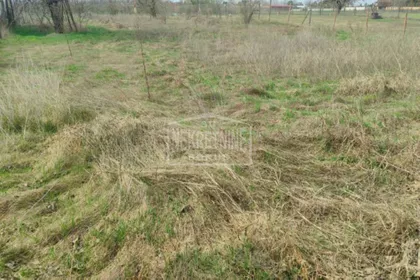 4. jula Kelebija | 4zida.rs