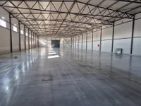 Hala | 4zida