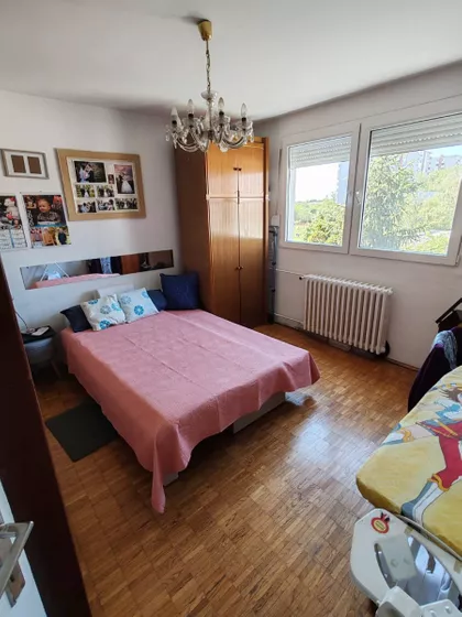 Stara Detelinara | 4zida.rs