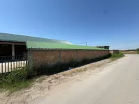 Hala | 4zida