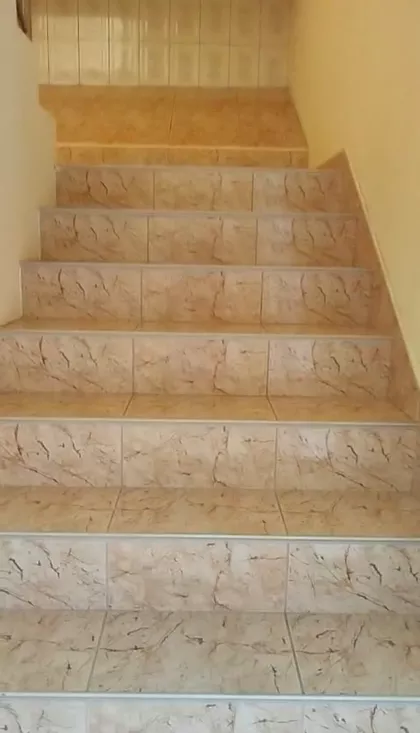 Cara Dušana | 4zida.rs