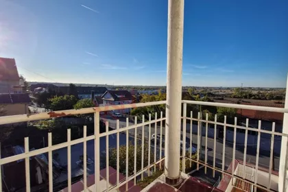 Lole Ribara | 4zida.rs