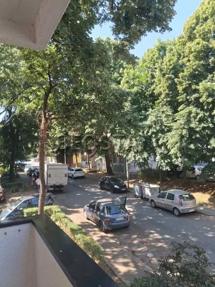 Salvadora Aljendea | 4zida.rs
