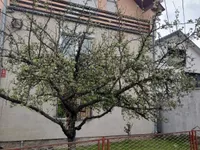 Bresnica, Gradske lokacije, Kragujevac | 4zida.rs