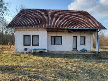 Ksenije Atanasijević | 4zida.rs