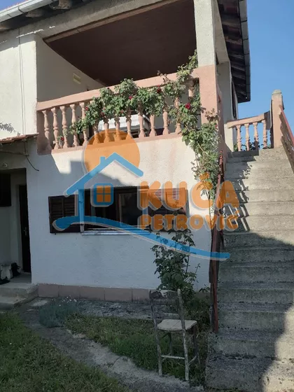 Goli Rid | 4zida.rs