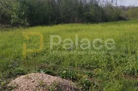 Plac | 4zida