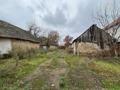 Dobanovci | 4zida.rs