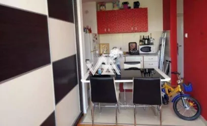 Pilota Mihaila Petrovića | 4zida.rs