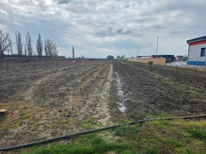 Gradske lokacije | 4zida.rs