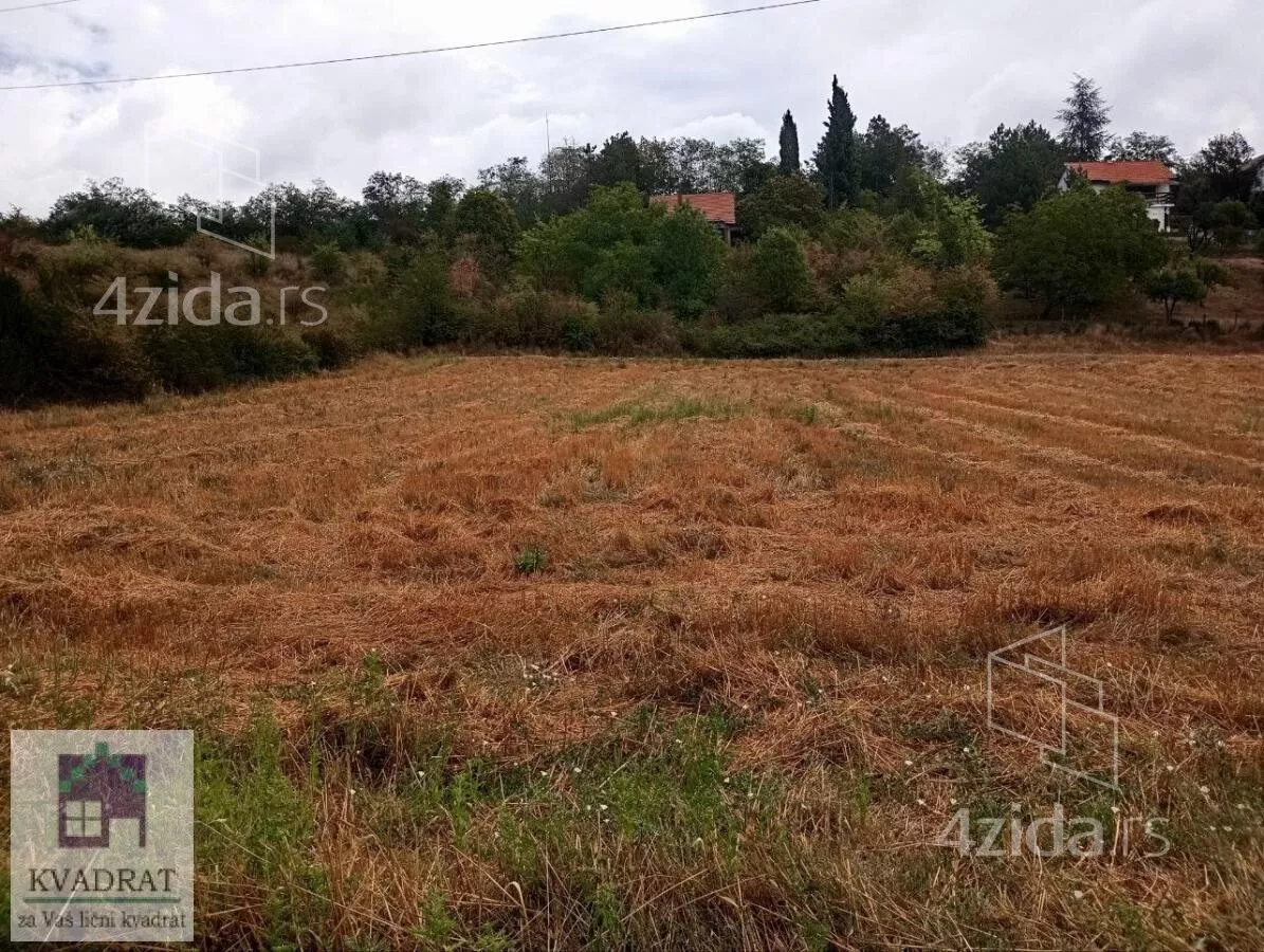 Plac | 4zida