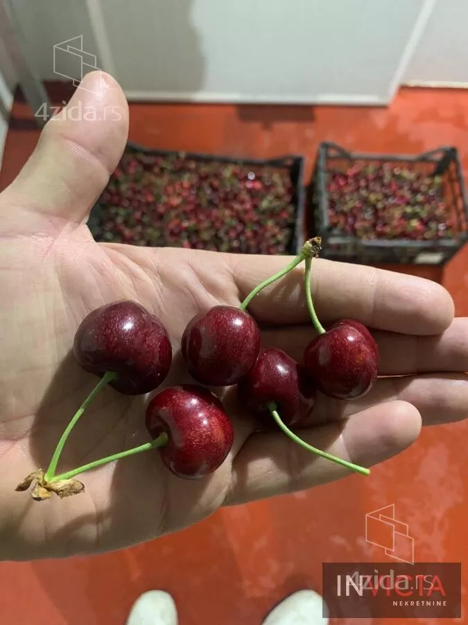 Poljoprivredno zemljište | 4zida