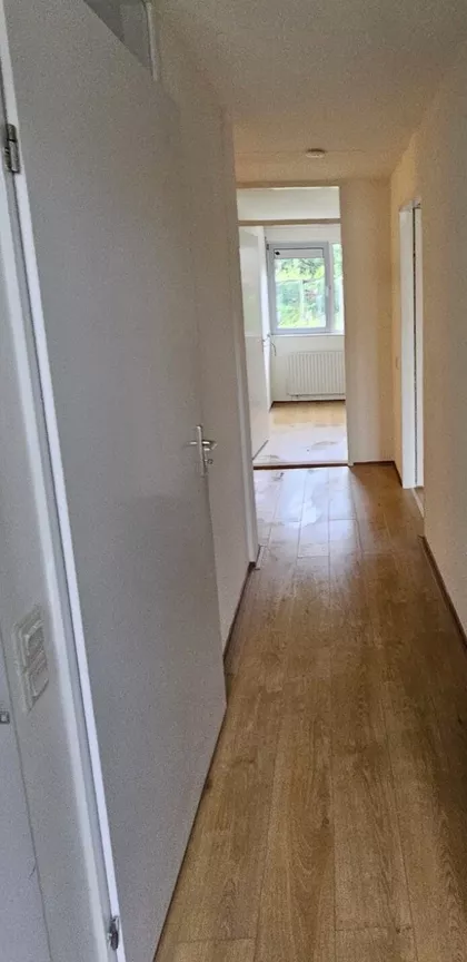 Crveni Krst Vračar | 4zida.rs