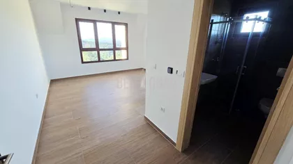 Belog narcisa | 4zida.rs