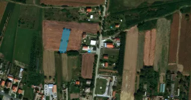 Petrovčić