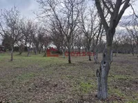 Palić, Okolne lokacije, Subotica | 4zida.rs