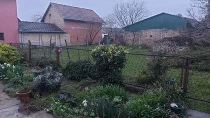 Fruškogorska 23 | 4zida.rs