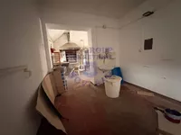 Futog, Okolne lokacije, Novi Sad | 4zida.rs