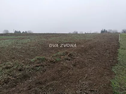 Novi Slankamen | 4zida.rs