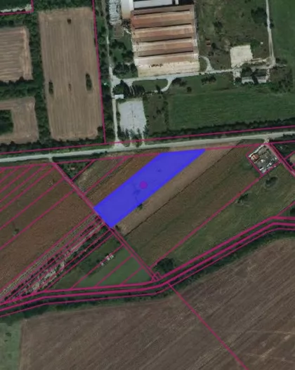 Zeleno Polje | 4zida.rs