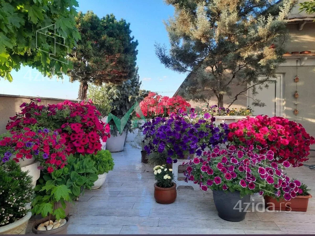 Petosoban stan | 4zida