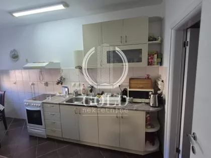 Petra Drapšina | 4zida.rs