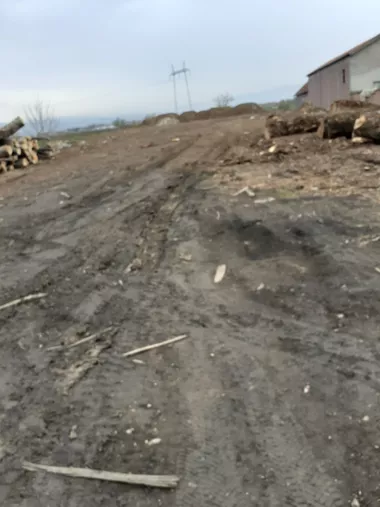 Tome Kostića