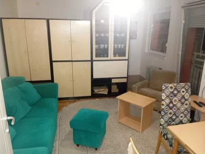 Vase Pelagića | 4zida.rs