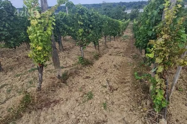 Poljoprivredno zemljište | 4zida