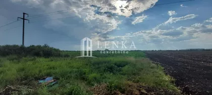 Šimanovci | 4zida.rs