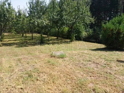 Vrdnik | 4zida.rs