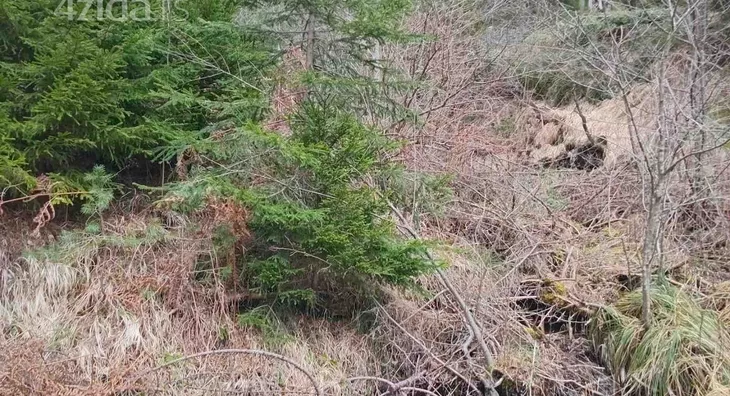 Poljoprivredno zemljište | 4zida